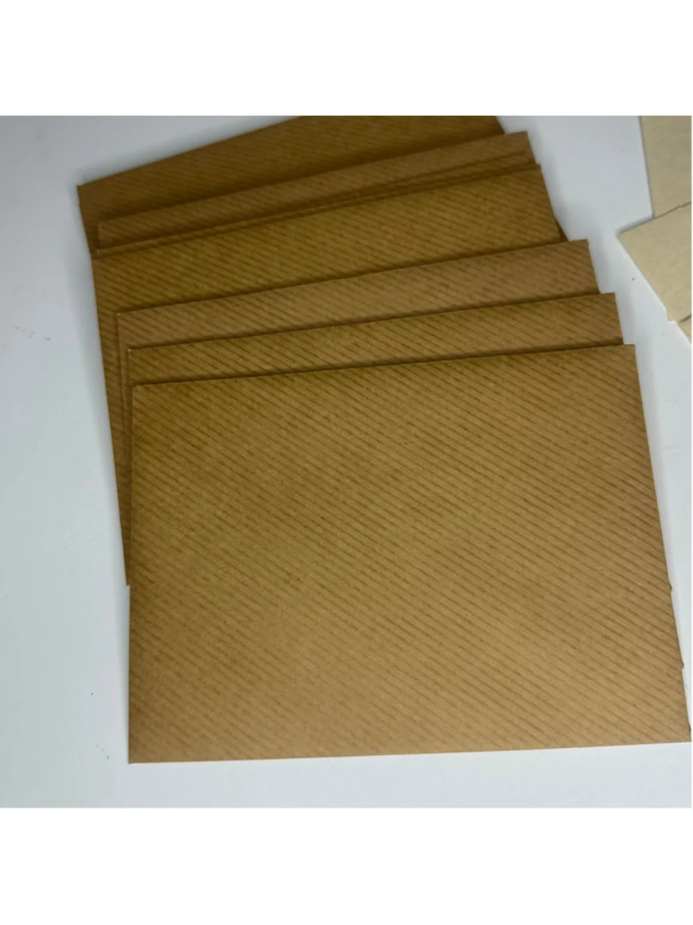 Vintage Safari Blank Note Cards Set of 10 by Small World Greetings Stationery